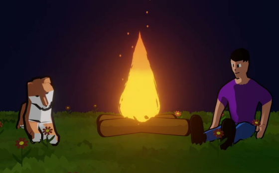 Shiba Banner Image